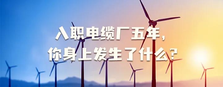 入職電纜廠五年，你身上發生了哪些變化~